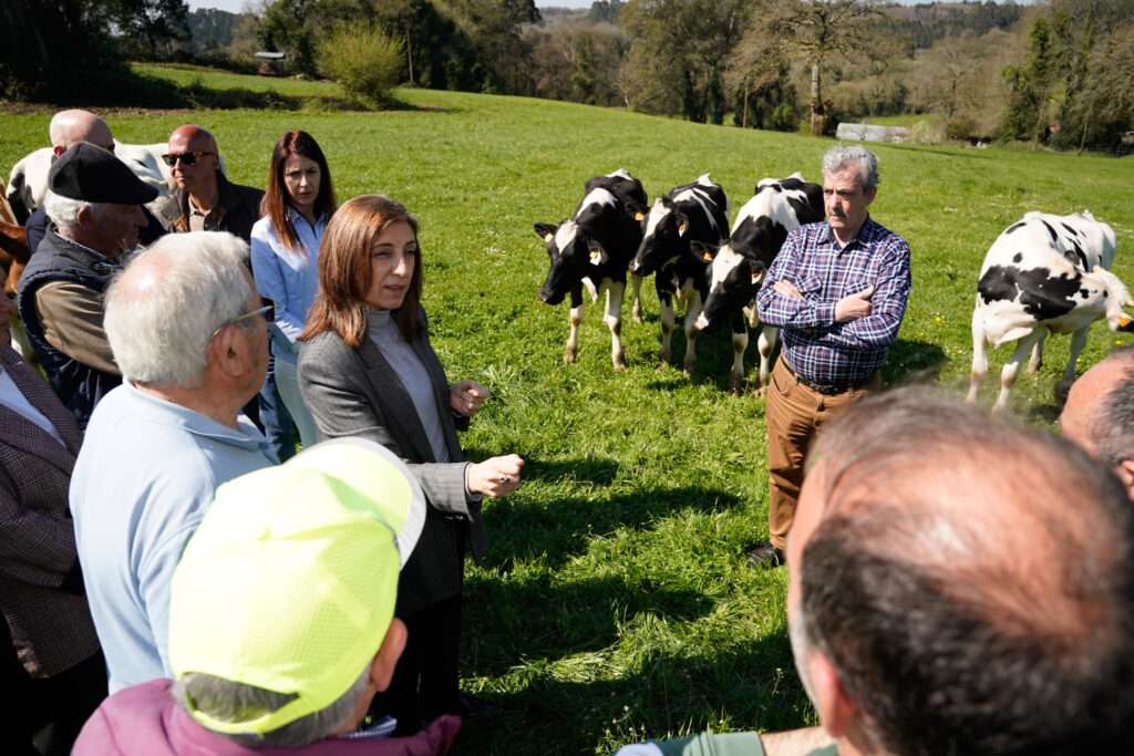 A Xunta destina case un millón de euros para compensar os danos causados polo lobo no 2025